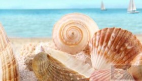 如何改进你的脚本程序