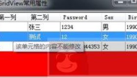 DataGridView设置单元格的提示内容ToolTip详解