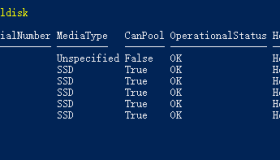 如何使用PowerShell获取物理磁盘的信息