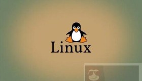 Linux中是谁占用了我的端口