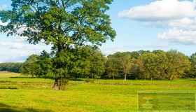 介绍鲜为人知但功能强大的 Git 技术