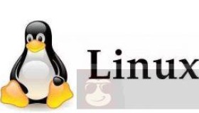 mysql 安装与常用命令