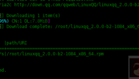 Linux中如何使用Aria2下载文件