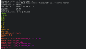 Linux Mint 20中安装最快的终端模拟器Alacritty