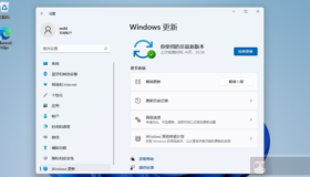 在Windows 11中卸载更新的不同方法