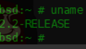 在FreeBSD中pkg包管理器使用实例