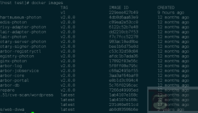 Docker镜像中提取Dockerfile