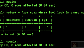 Mysql中S 锁和 X 锁的区别