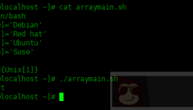 Bash Shell脚本中的数组使用实例