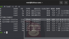 Linux查看端口详情