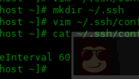 如何防止SSH会话断开连接