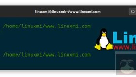 如何在 Bash 脚本中使用单行和多行注释