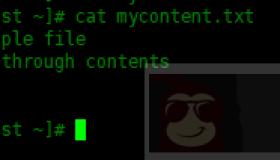 如何在Shell脚本中逐行读取文件