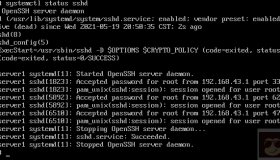 如何调试SSH连接
