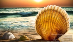 了解如何用 Bash 读写文件