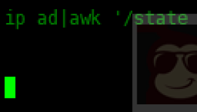 Shell脚本 – 查看网络接口信息