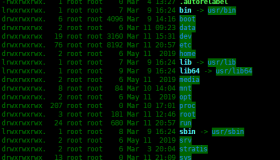 Centos8中恢复根目录为默认权限