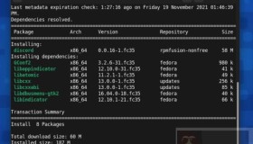 把Discord安装在Fedora Linux上