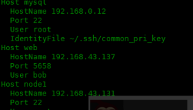如何管理多个 SSH 连接
