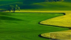 还用foreach在MyBatis批量插入数据，服务器还没崩？