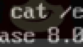 CentOS 8.0网络配置