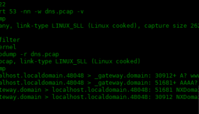tcpdump 命令的常用选项：二
