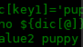 如何在 bash 中使用键值字典