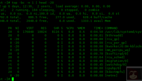 如何在 Linux 中以脚本模式运行 Top