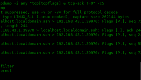 tcpdump 命令的常用选项：三
