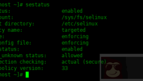使用sestatus命令来查看SELinux的当前状态