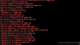 Ubuntu 20.04中创建本地APT软件包仓库