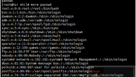 Linux的bash shell与man查看手册