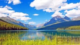 编程中new[]和delete[]应该如何使用？