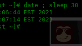 Linux中Sleep和Wait命令的使用方式