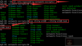两种Linux CentOS 6.5 网络配置方法