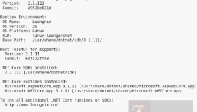 龙芯 LoongArch64 架构提供对 .NET 3.1 的支持