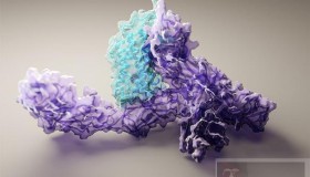 有了这条指令，再也不怕把 Nginx 搞砸了？