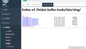 Nginx设置访问服务器某个目录