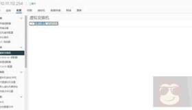 VSAN 7 安装部署指南（二）