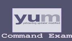 yum工具对软件包安装，删除，更新介绍