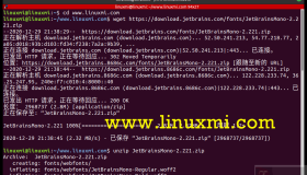 Linux下一款为开发者设计的等宽字体