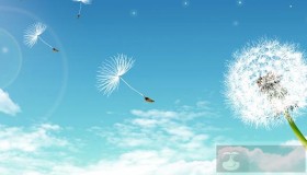 从命令行使用 wget 调试网页错误