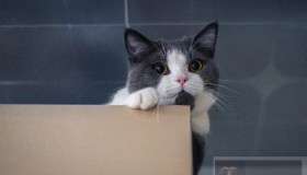 通过 for 循环，对比Python与Ruby