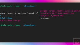 使用lsd 和 exa 来重新想象和设计你的文件和目录列表