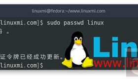 在 Linux 中更改、删除或禁用用户密码