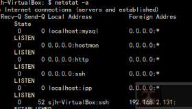 聊聊linux查看服务和端口状态命令netstat