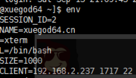 简述SHELL全局环境变量与局变环境变量