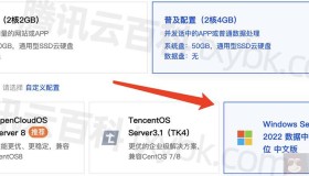 腾讯云服务器Windows系统选哪个比较好？