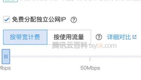 腾讯云服务器1m带宽有多快？