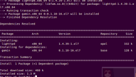 在 Linux 中安装 Lighttpd Web 服务器